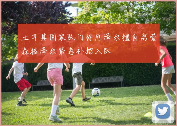 土耳其国家队门将厄泽尔擅自离营森格泽尔紧急补招入队