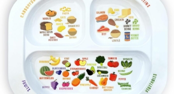 Healthy Eating Divided Plate: Sorting Activity for Kids
