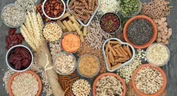 Whole Wheat Products: Features & Benefits for a Healthier Diet